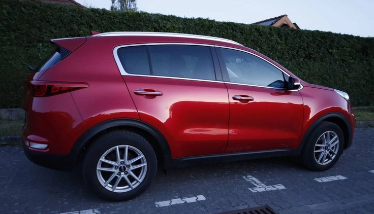 Kia Sportage cena 72900 przebieg: 65044, rok produkcji 2017 z Goleniów małe 254